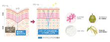 画像をギャラリービューアに読み込む, 「医薬部外品」薬用リンクル美白クリーム スキンケア コスメ