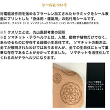 画像をギャラリービューアに読み込む, 丸山式コイル ブラックアイナノ ピラミド 電磁波対策 電磁波