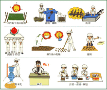 画像をギャラリービューアに読み込む, マコモ 190g まこも リバーヴ マコモ マコモパウダー 発送はネコポス