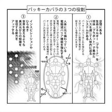 画像をギャラリービューアに読み込む, バッキーボール 組立式 + パドマ 丸山アレルギークリニック院長 丸山 修 寛 バッキー カバラ メサイア 丸山  ピラミッド
