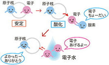 画像をギャラリービューアに読み込む, 電子水生成器 AREE（アレー ）・ファミリーセット 電子水 アレー 電子水生成器aree 電子水生成器
