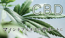 画像をギャラリービューアに読み込む, エリクシノール ロールオン450 サプリメント CBD 麻抽出物
