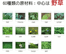 画像をギャラリービューアに読み込む, ファスティング・ヴィンテージ 12本 ファスティング ファスティングライフ ニューサイエンス
